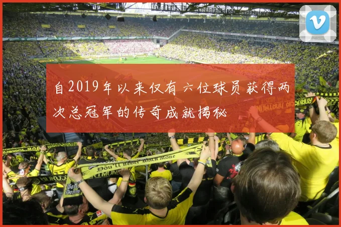 自2019年以来仅有六位球员获得两次总冠军的传奇成就揭秘