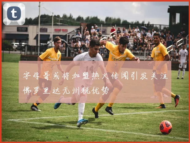 字母哥或将加盟热火传闻引发关注佛罗里达无州税优势