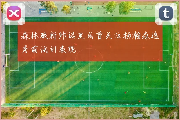森林狼新帅诺里或曾关注杨瀚森选秀前试训表现